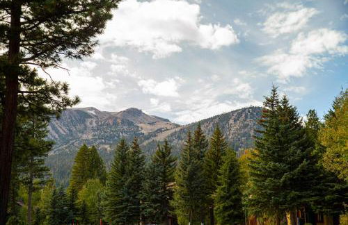 Plush Mammoth Condo w Balcony Views - Foto 35