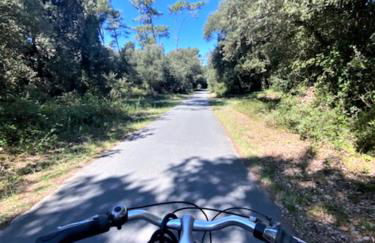 La Haute Foret proche mer - Foto 27