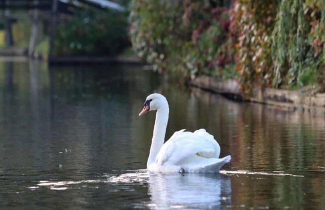 Cozy House with a Boat near Giethoorn & Weerribben Wieden National Park - Photo 34