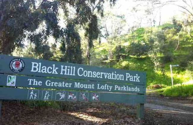 3BR Unit Free Park Wifi Campbelltown - Foto 17