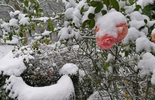 Ferienhaus Landhaus Am Hirtzborn - Foto 7