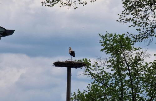 Ferienwohnung Wroblewsky - Foto 21