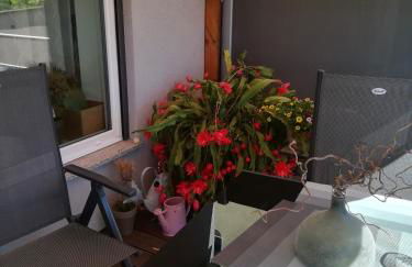 Appartment Fasanenhof Klinikum und Uni nah mit Netflix - Foto 31