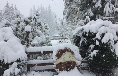 Bear’s Den Hideaway with Hot Tub - Foto 35