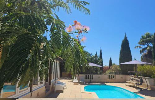 Belle Bize - Foto 35