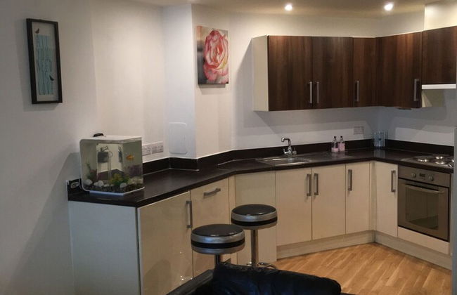 1 Bed Apt Near Canary Wharf London City Centre - Foto 9
