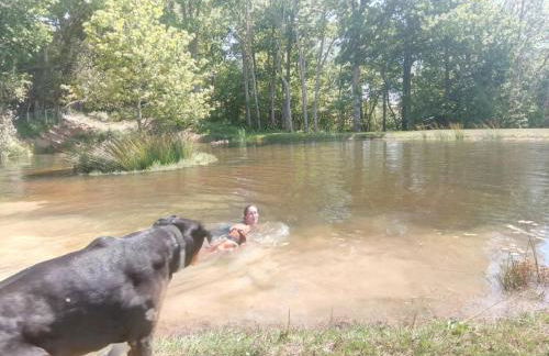 Snug & Secluded Lakeside Shepherds Hut 'Carp' - Foto 46