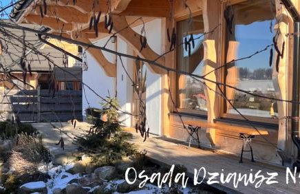 Osada Dzianisz N°54 - Foto 3