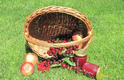 Ferienwohnungen Günzelgut - Photo 45