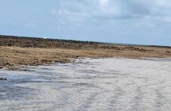 Villa Naluri C103 - Casa Auati - 2 quartos com Vista Mar em Japaratinga - Foto 6