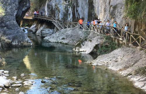 Apartamentos La Granja - Foto 11