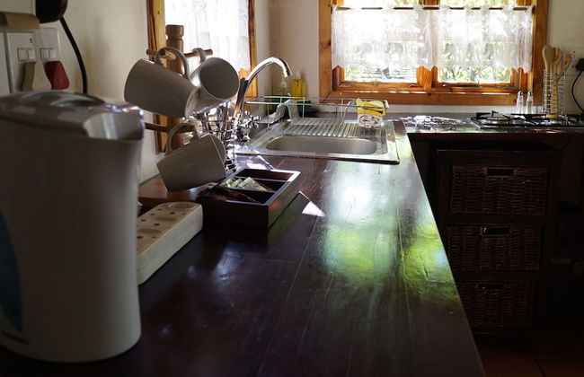 Woodland Gardens - Photo 21