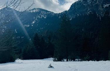 Cedar Wood Cabin - Foto 14