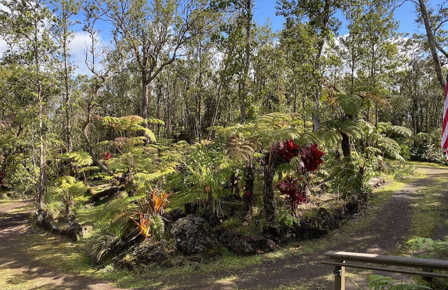 Volcano Rainforest Lodge - Foto 63