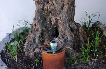 Casa da Avó Rita - Foto 31