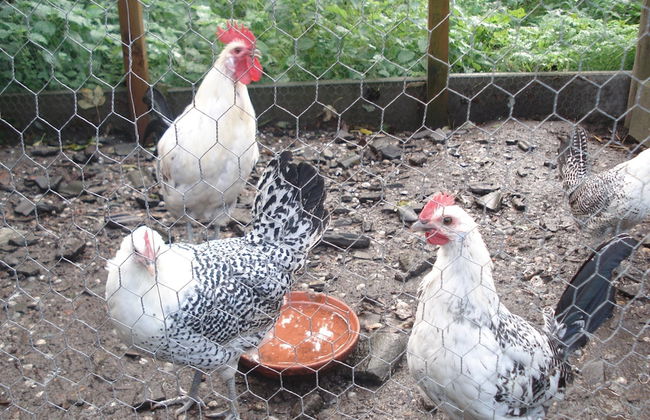 Idyllic Rural Home With Bikes - Foto 18