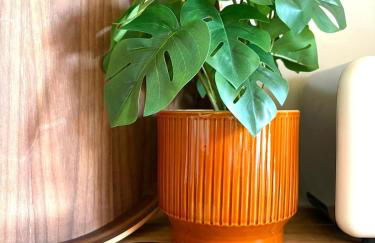 La Cachette Sauvage au cœur de Villefranche - Foto 8