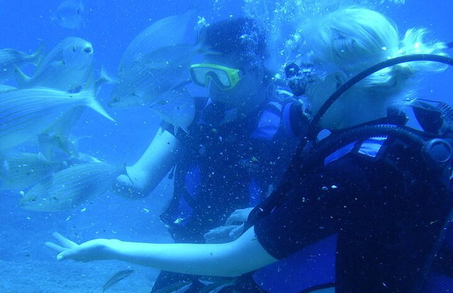 BUCEO: La exploración submarina de Kallithea - Foto 24