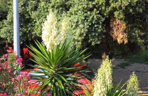 Apartments Dvorski - Photo 54