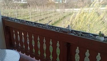 Haus Kirschblüte - Foto 3