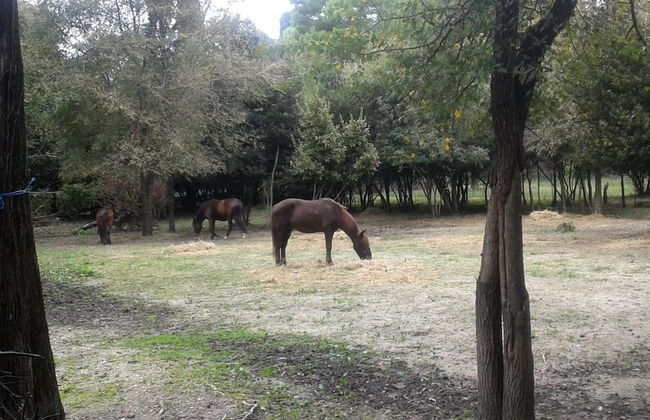 Garitsa bay Apartment - Foto 19