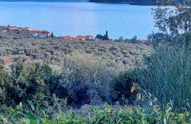 Little Bit Of Heaven - Foto 30