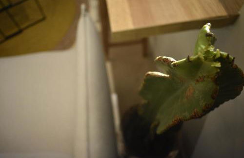 Kikkos Village House - Foto 68