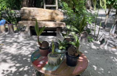 Hospedaria Recanto da Paz - Foto 57