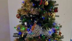 Lyme View Apartment - Photo 2