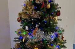 Lyme View Apartment - Photo 2