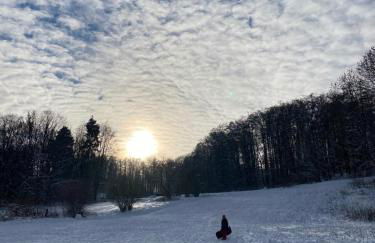 Ferienwohnung Eva - Foto 29