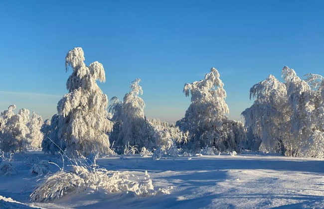 Ferienwohnung im Malerischen Kniebis - Foto 20