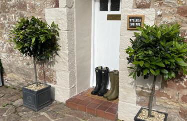 The Cosy Nook Cottage Company - Cosy Cottage - Foto 16