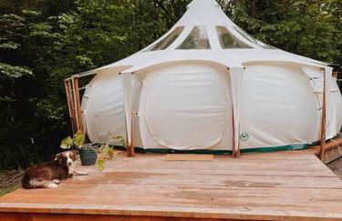 The Hideout - Stargazing Glamping Swim Oasis - Foto 7