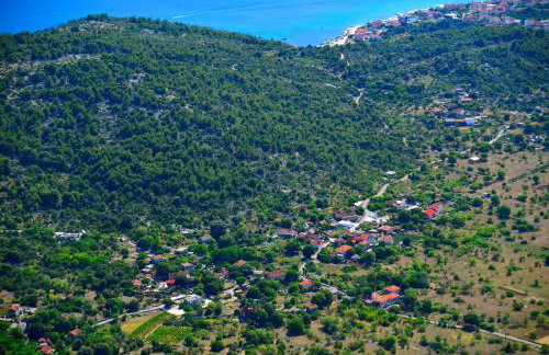 Home Sweet Home traditional Dalmatian house with pool - Photo 29