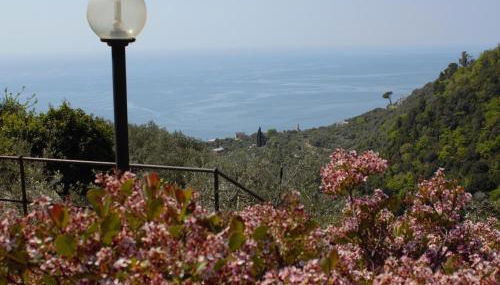 Azalea - Foto 2, Garden