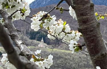 Casa Dalsass - Photo 22