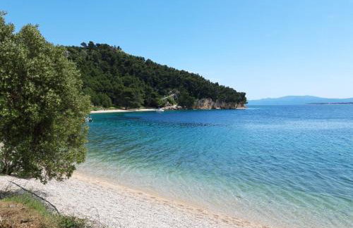 APARTMANI NOVA - Photo 12