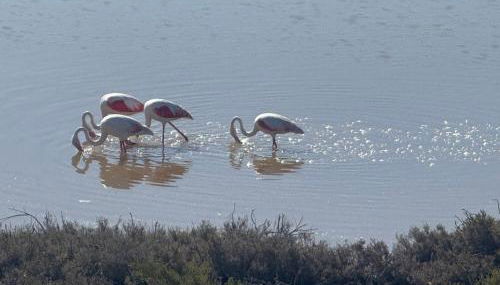 LE SALINE: beautiful apartment with terrace and splendid view - Foto 3