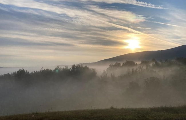 Azienda Agricola Saint Hubert - Foto 39