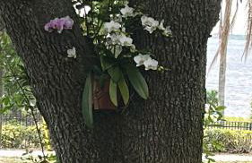 Lakeview Retreat - Foto 39