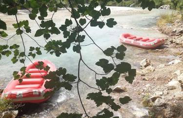 Olive Garden Studio - Foto 32