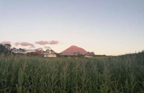 Dream View in Pico - Photo 29