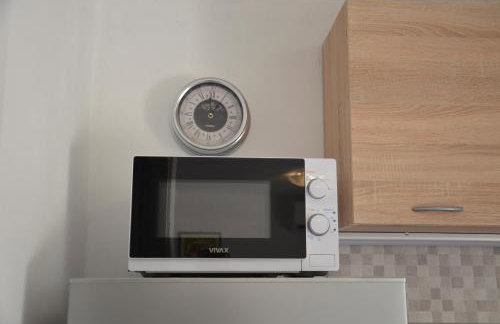 Studio Apartment Mileta - Photo 28