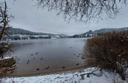 Haus Heidelberg - Foto 71