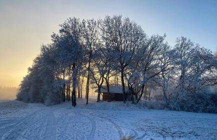 Fewo Allezeit Sauerland - Foto 5