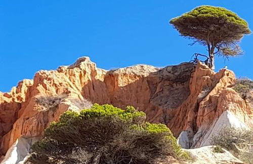 Casa Linda da Praia do Alfamar - Foto 36