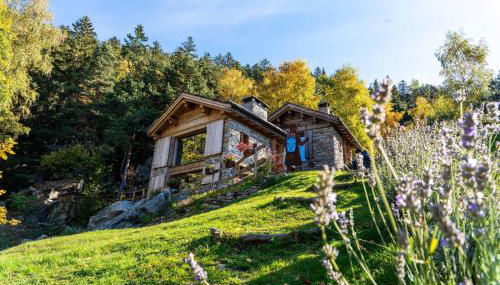 Chalet Panorama Res Albert - Foto 1