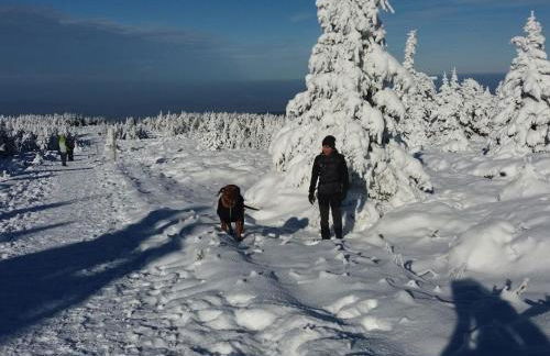 Holiday home in the Harz Mountains with 3 bedrooms - Foto 28