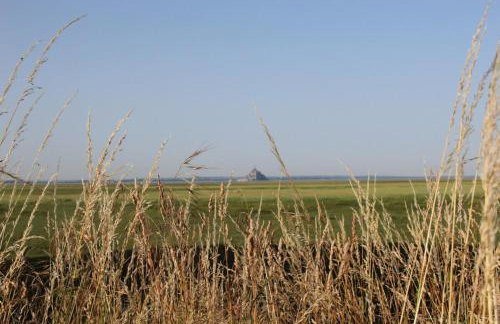 Maisons de Familles Vacation rental with pool spa and Mont-Saint-Michel - Photo 43